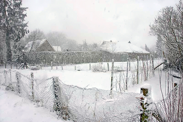 Winter