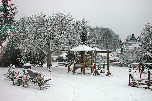Winter