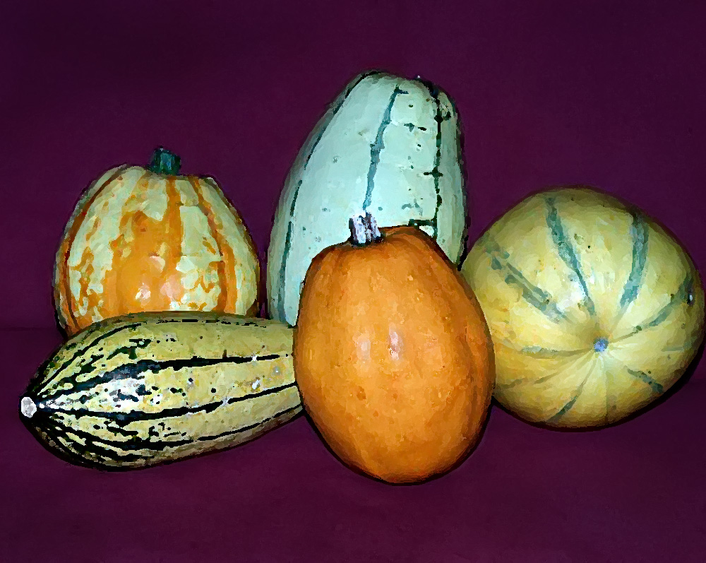 Pompoenen
