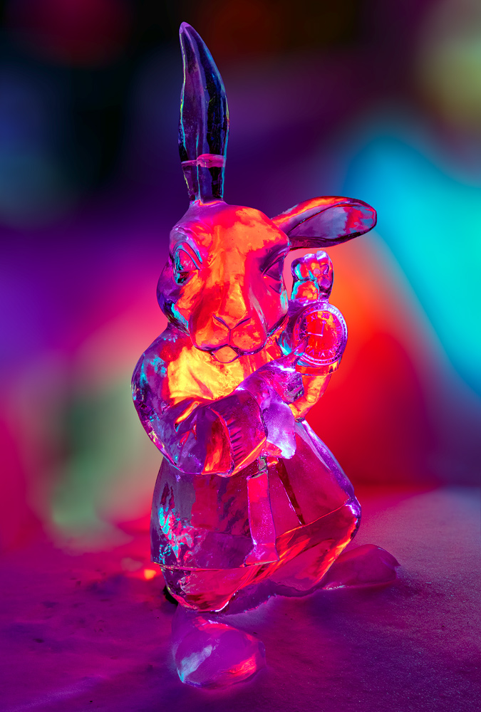 Alice in Wonderland