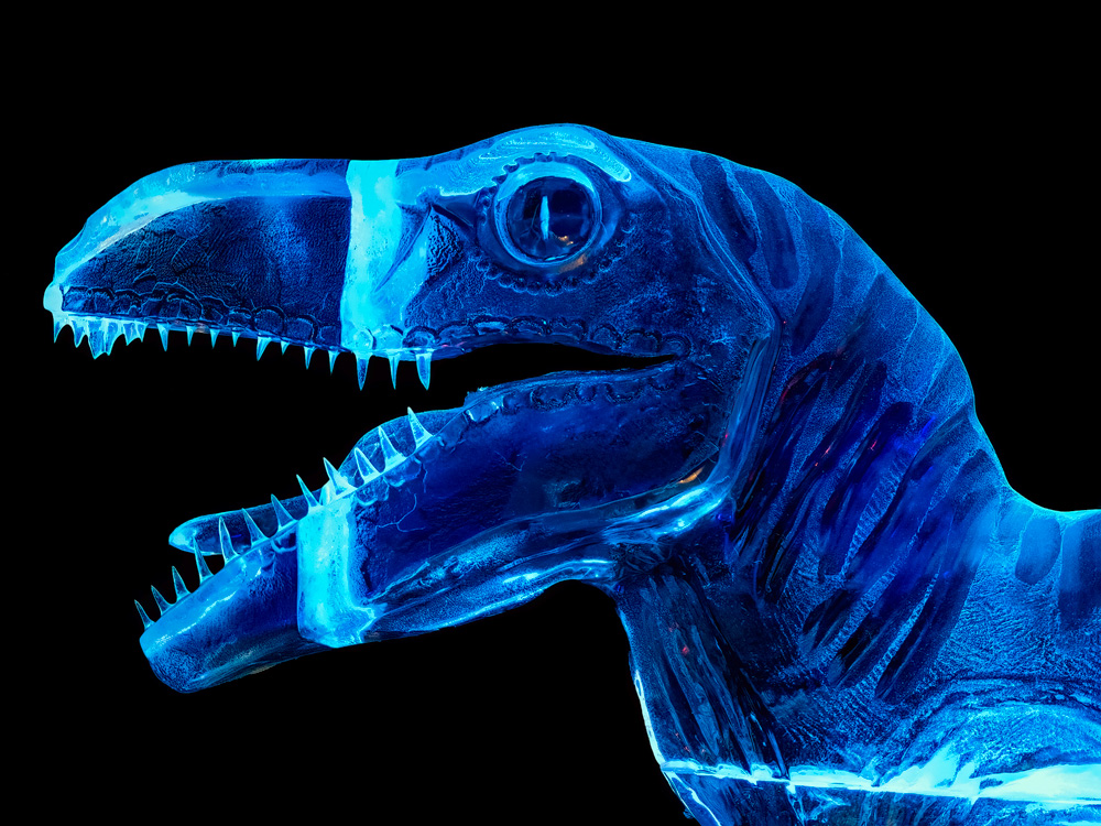 Jurassic Park