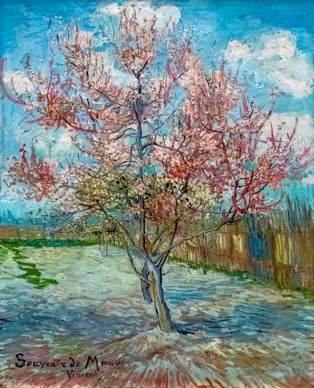De roze perzikboom