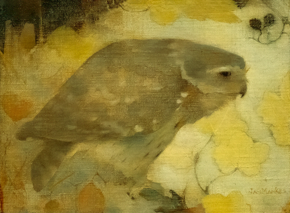 Roofvogeltje op tak
