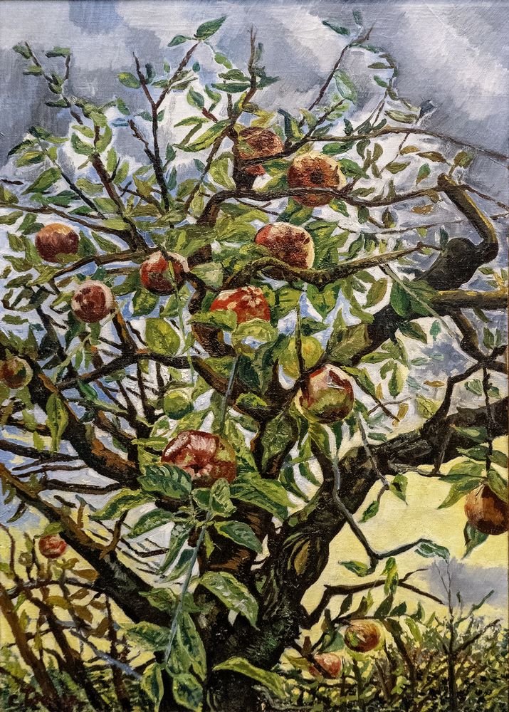 Toorop C, Takken met appels, 1952-1953