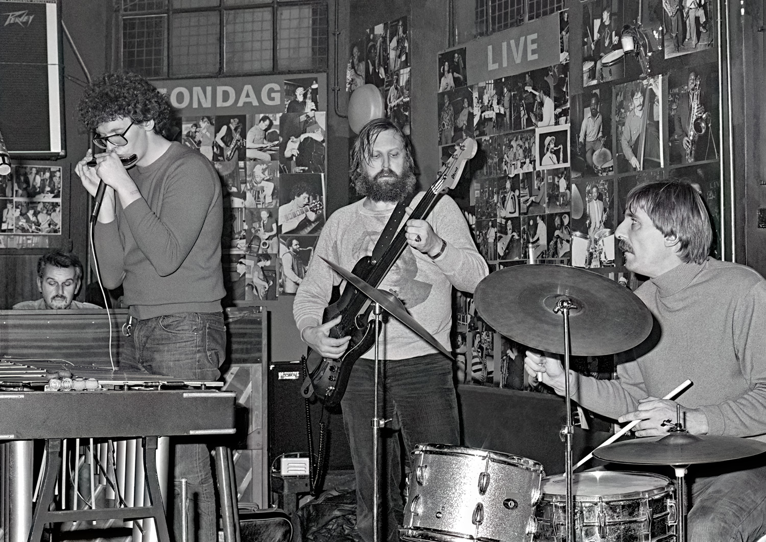 Bob Cats, 1981-11-29
